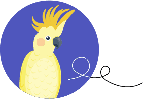 Papuga Kakadu